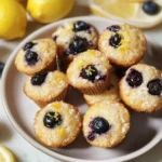 Blueberry and Lemon Zest Cottage Cheese Bites